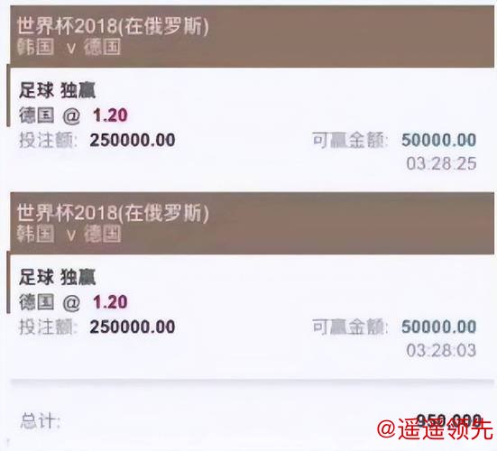 世界杯投注入口地址推荐平台